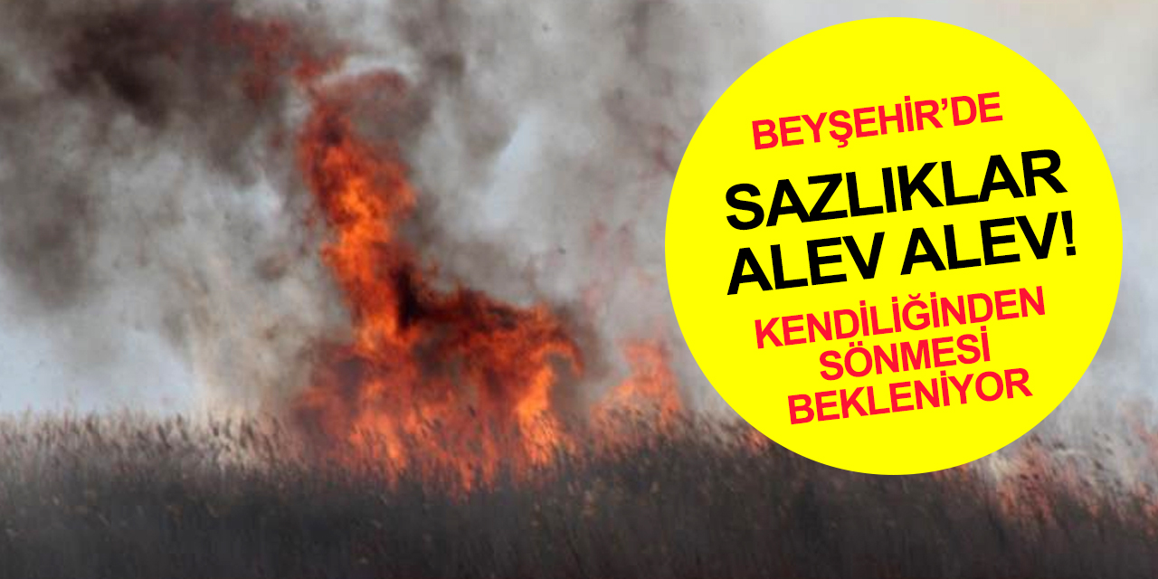 Beyşehir Gölü Milli Parkı'nda yangın! Müdahale edilemiyor