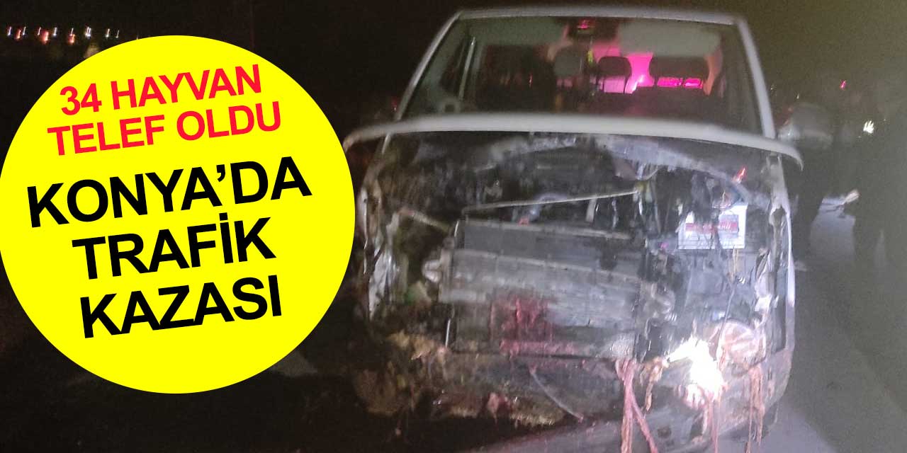 Beyşehir-Seydişehir Yolunda kaza! 34 koyun telef oldu