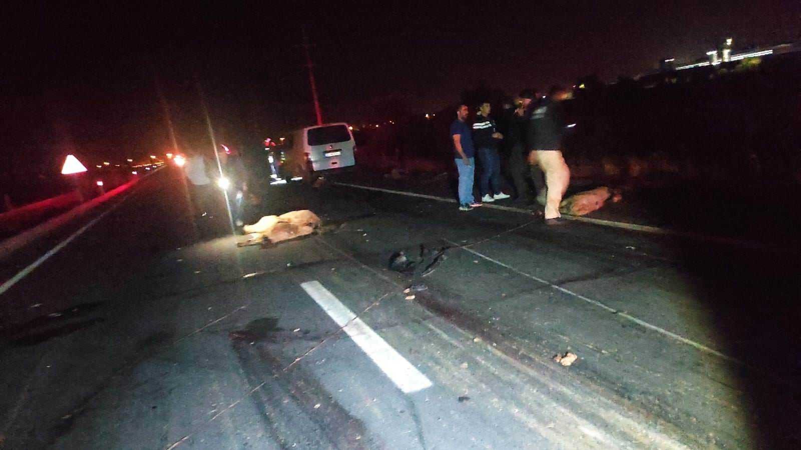 Konya'da akşam saatlerinde yaşanan kazanın detayları ortaya çıktı! 7 kişi yaralı 34 koyun telef