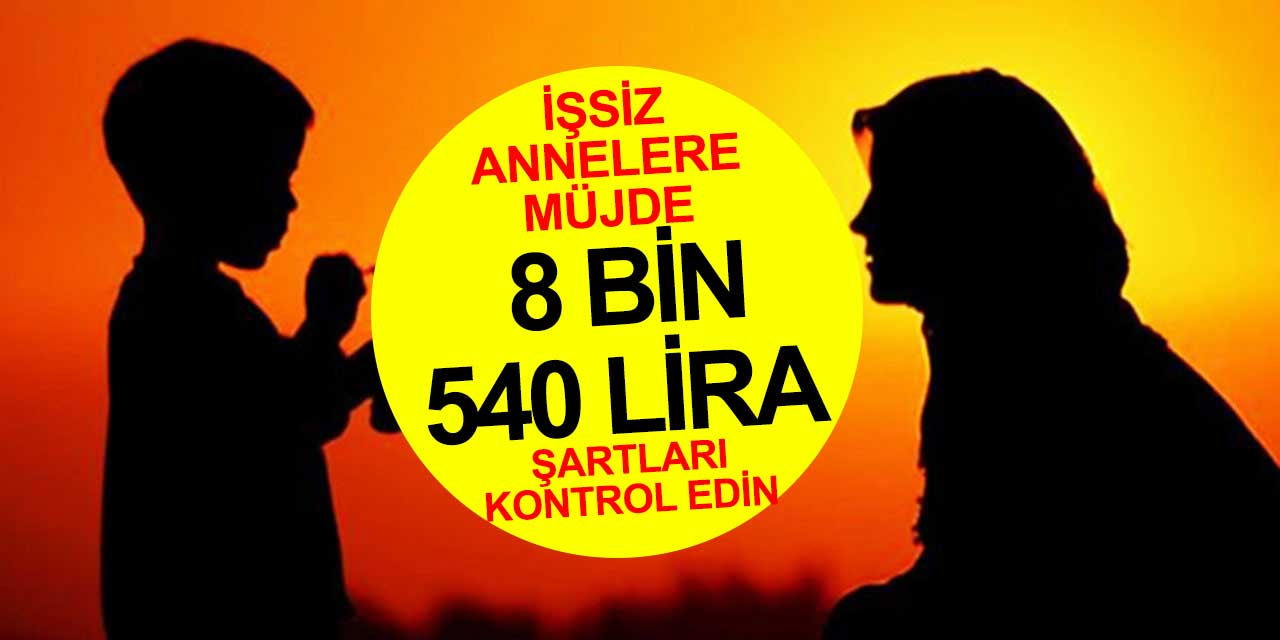İşsiz annelere 8 bin 540 lira! Başvuru için bilgilerinizi kontrol edin