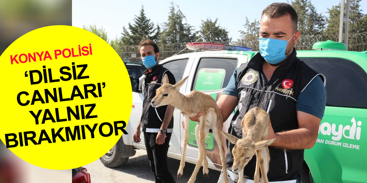 Konya polisi doğa ve hayvanlara karşı işlenen suçlara karşı teyakkuzda