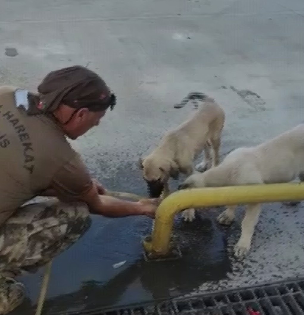 Düşmana korku dosta güven! Özel Harekat