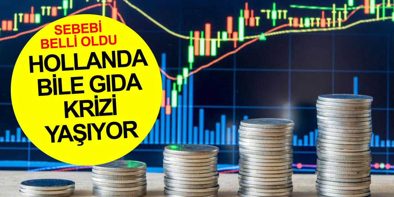 Bu kış çok sert geçecek! Doğalgaz ve diğer ürünlerin fiyatlarının artış sebebi belli oldu