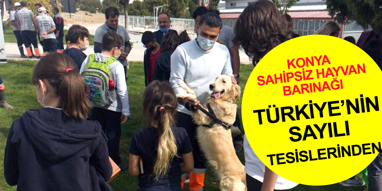 Hayvan dostu Konya'da öğrenciler Hayvan Barınağını ziyaret etti