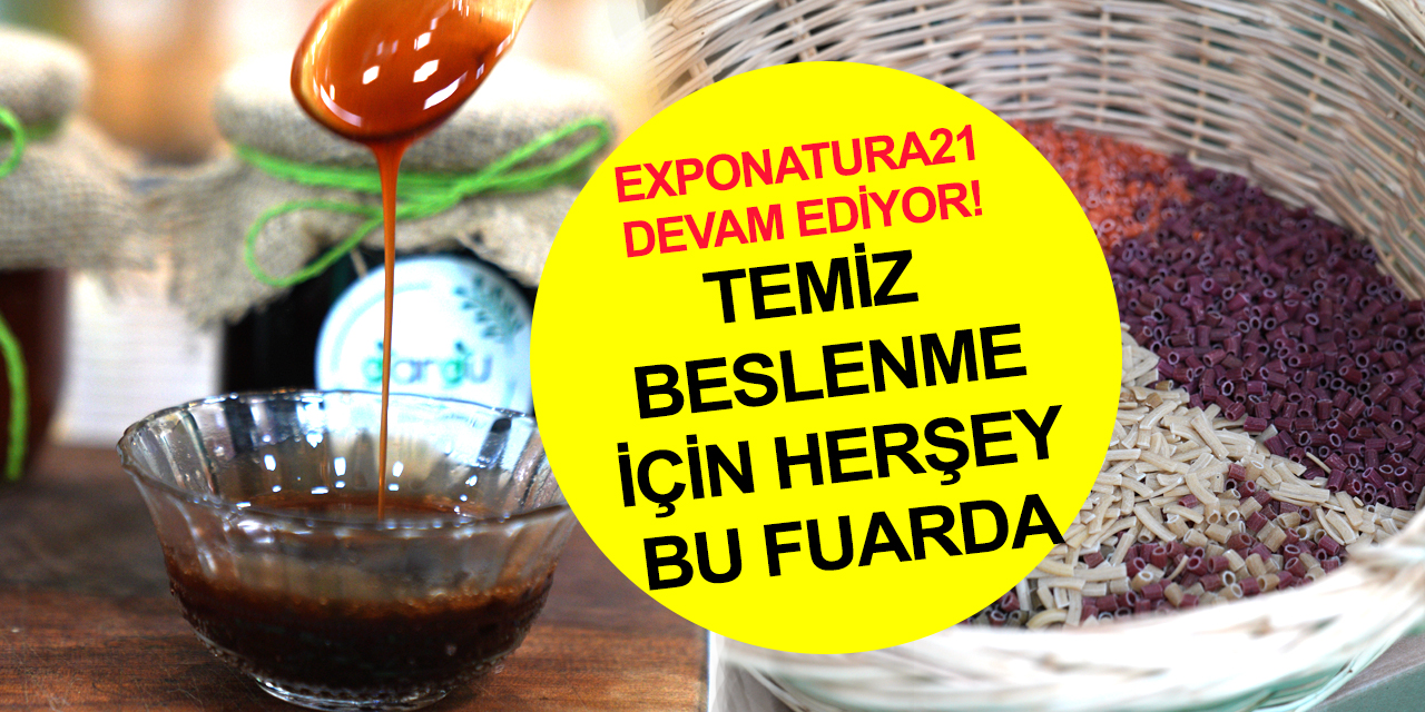 Temiz beslenme ihtiyacı girişimcilere kapı açtı! Altının suyunu çıkarıp kozalağın şurubunu yaptılar