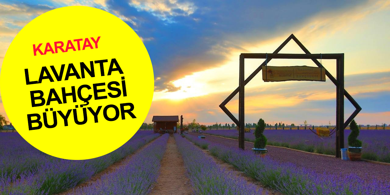Karatay Belediyesi lavanta bahçesi 340 bin metrekareye çıkarılıyor