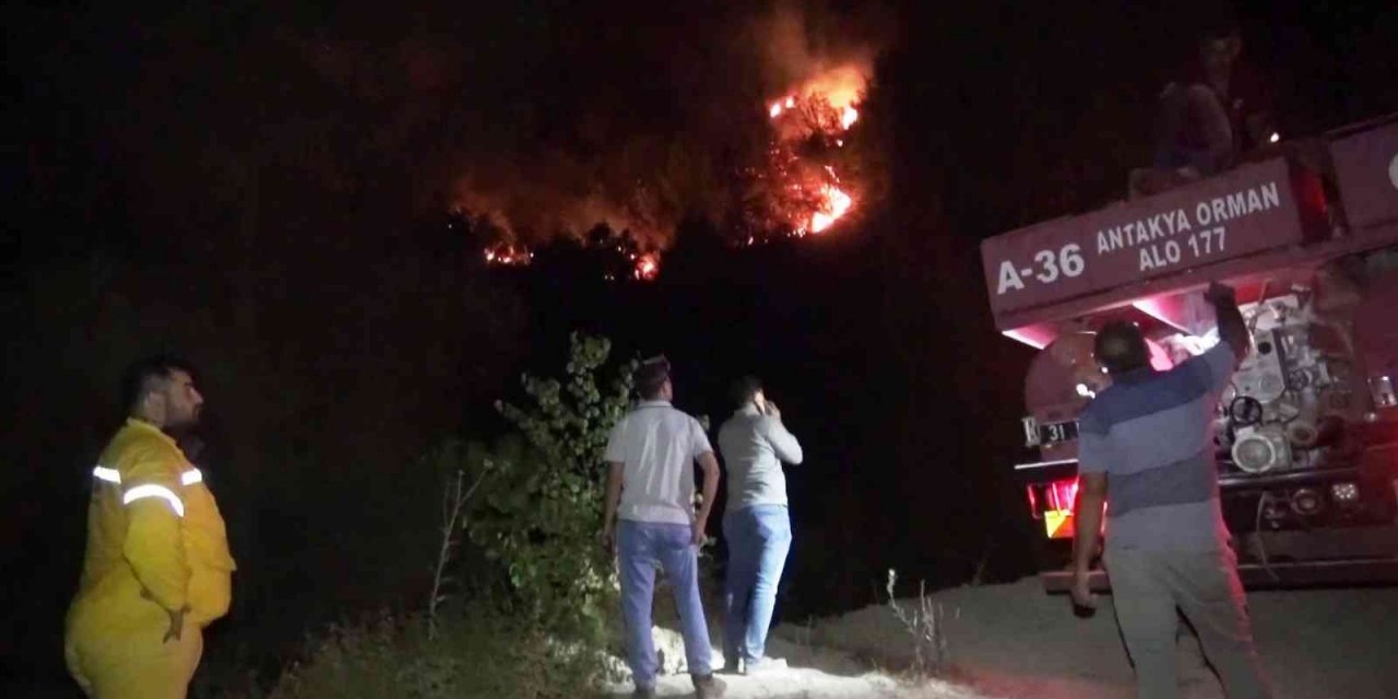 Hatay’daki orman yangını 6 saat süren müdahalenin ardından kontrol altında