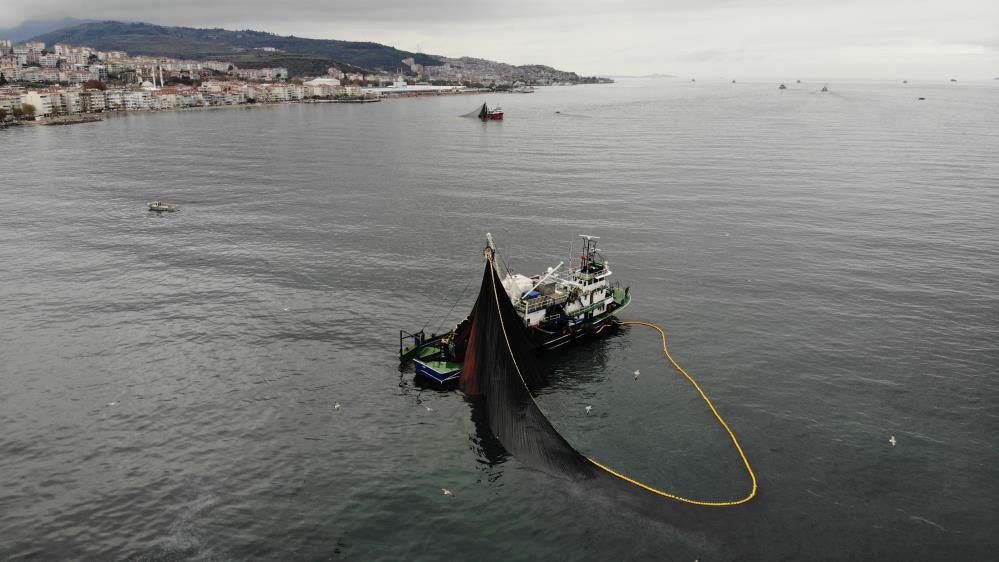 Gemlik Körfezi'ne giren 600 bin ton hamsi kısa sürede yakalandı