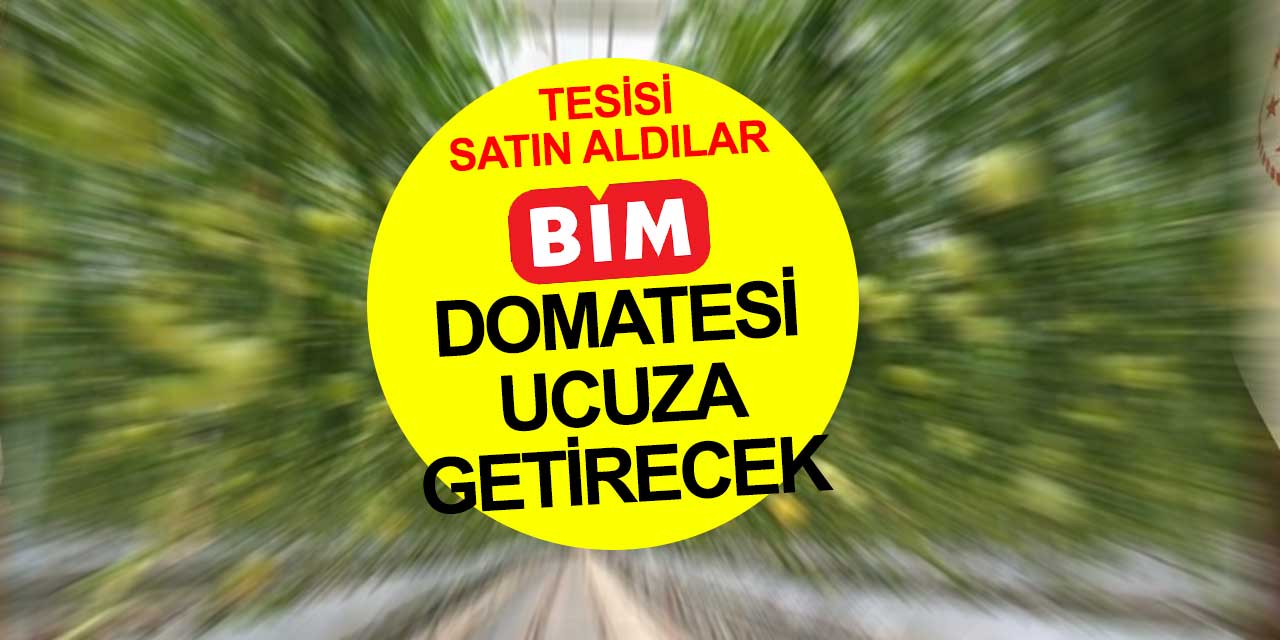 BİM domatesi ucuza getirecek! Afyon'da şirket satın aldılar