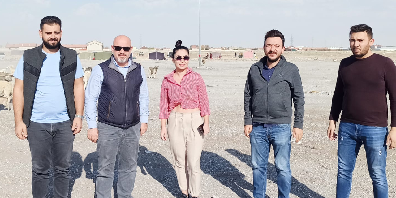 KONTİMDER üyeleri Aslım'da sokak hayvanlarını besledi
