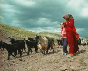 Zeki Oğuz ile Fotoğrafların dili