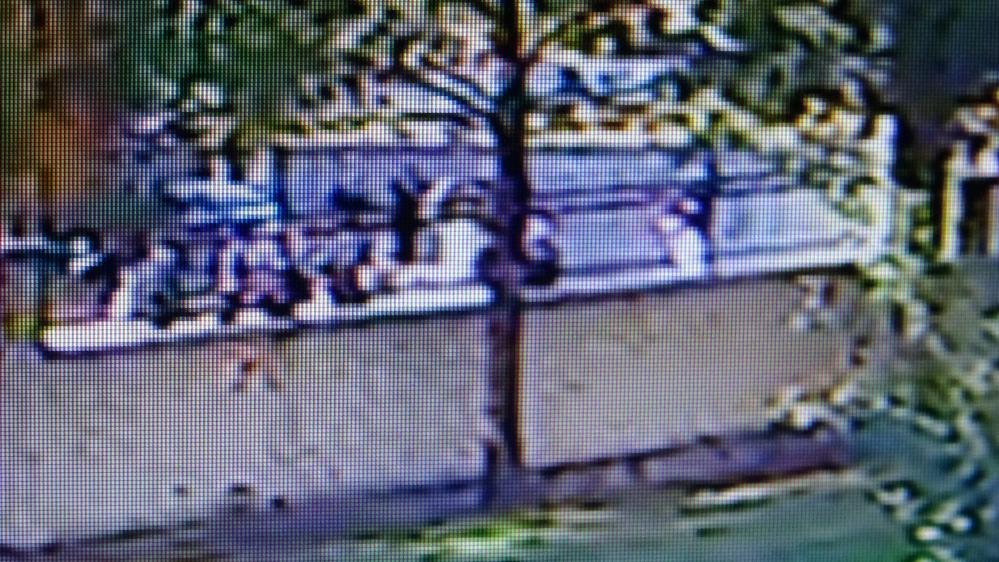 Öğrenciler yan bakma sebebiyle cinayet işledi! O anlar kameraya kaydedildi