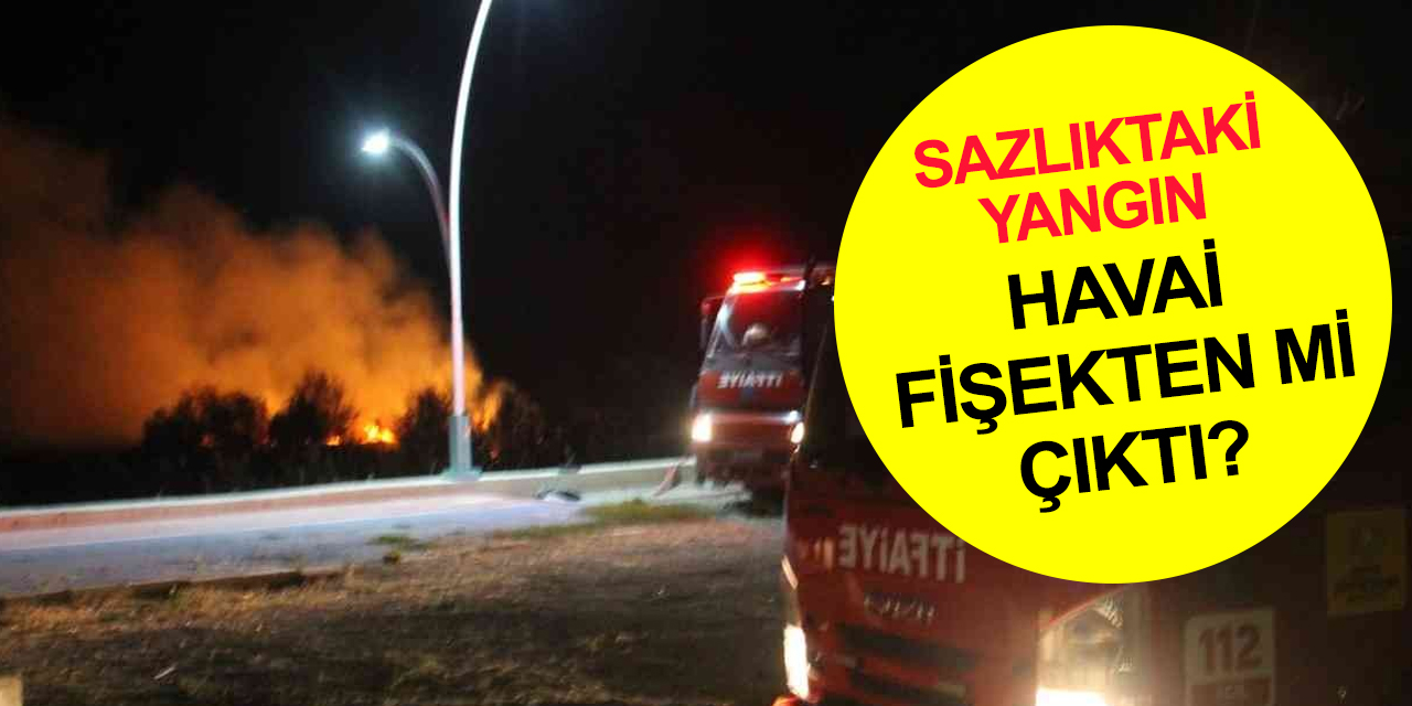 Konya'da yüzlerce su kuşunun yaşam alanı Beyşehir Gölü Milli Parkı’nda yangın!