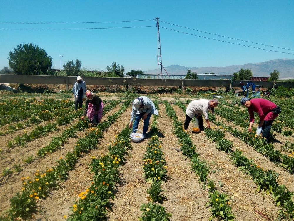 ABC ile Yerli Yerinde projesiyle kadınlar yılda 4 milyondan fazla kazanıyor