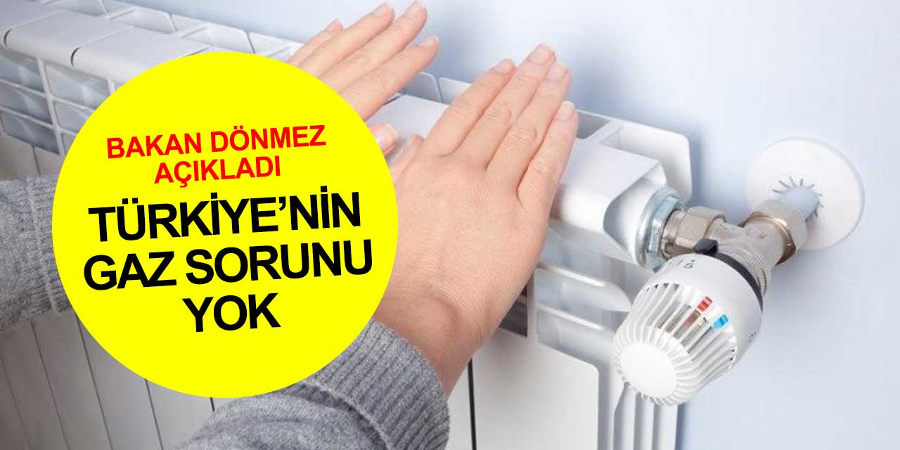 Türkiye'nin doğalgaz tedarikinde sorun yok! Putin ve Aliyev onay verdi
