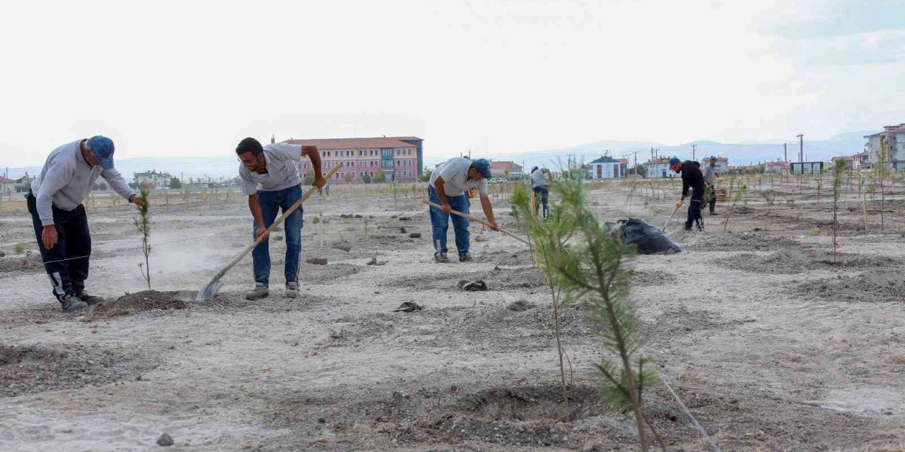 Meram Belediyesi’nden doğan her bebeğe bir fidan