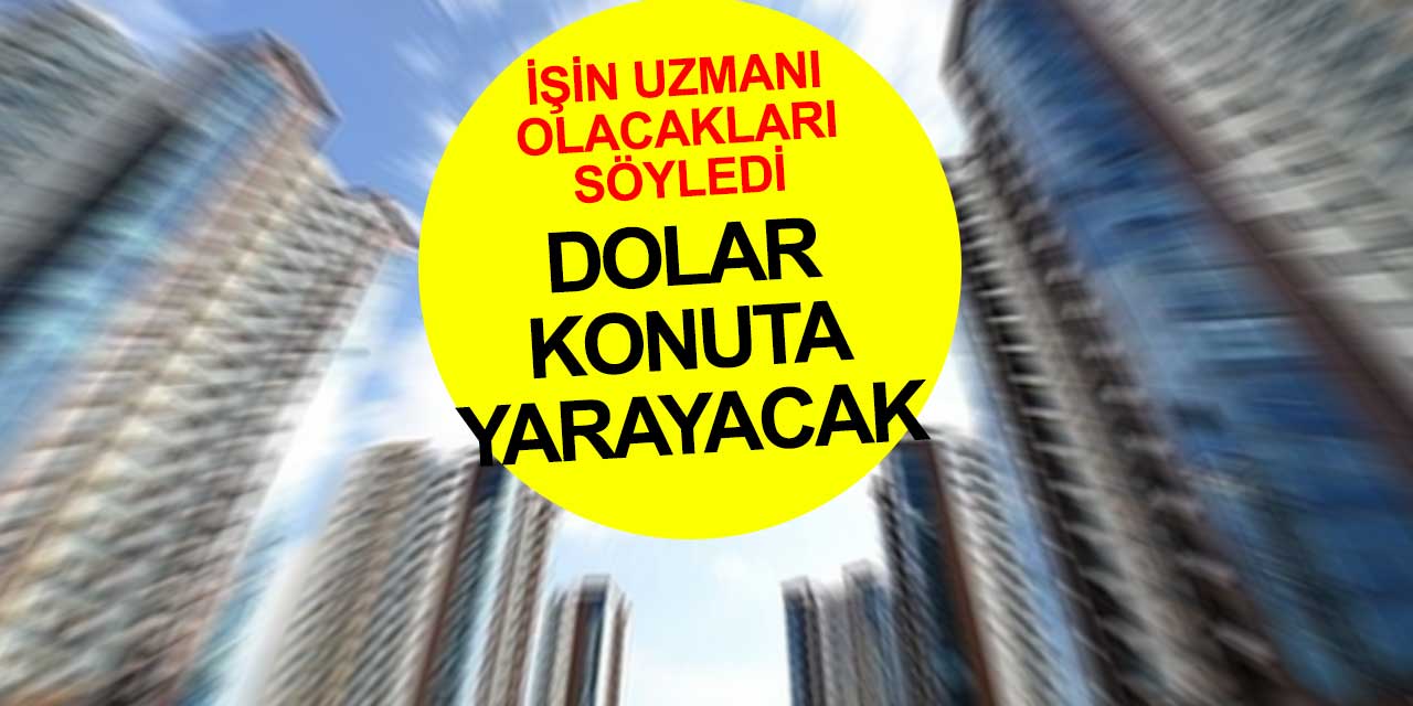 Dolar fiyatının artması konut sektörünün işine yarayacak