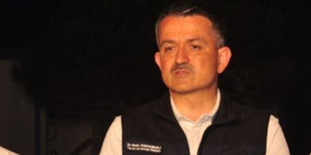 Manavgat'taki yangın kontrol altına alındı!