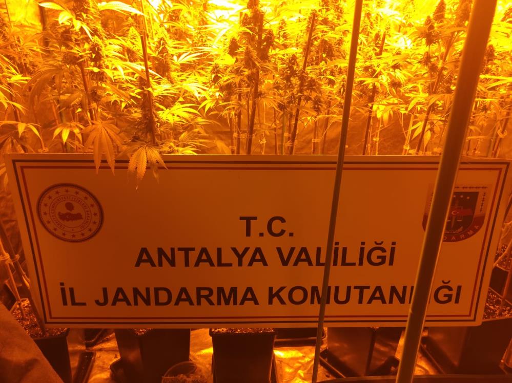 Antalya'da kaçak 2 kardeş villada uyuşturucu yetiştirirken yakalandı