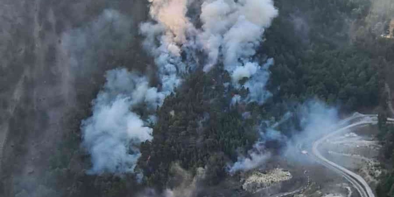 Aladağ’da orman yangını! Müdahale sürüyor