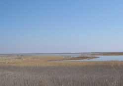 Akgöl Ereğliyi dünyaya tanıtacak