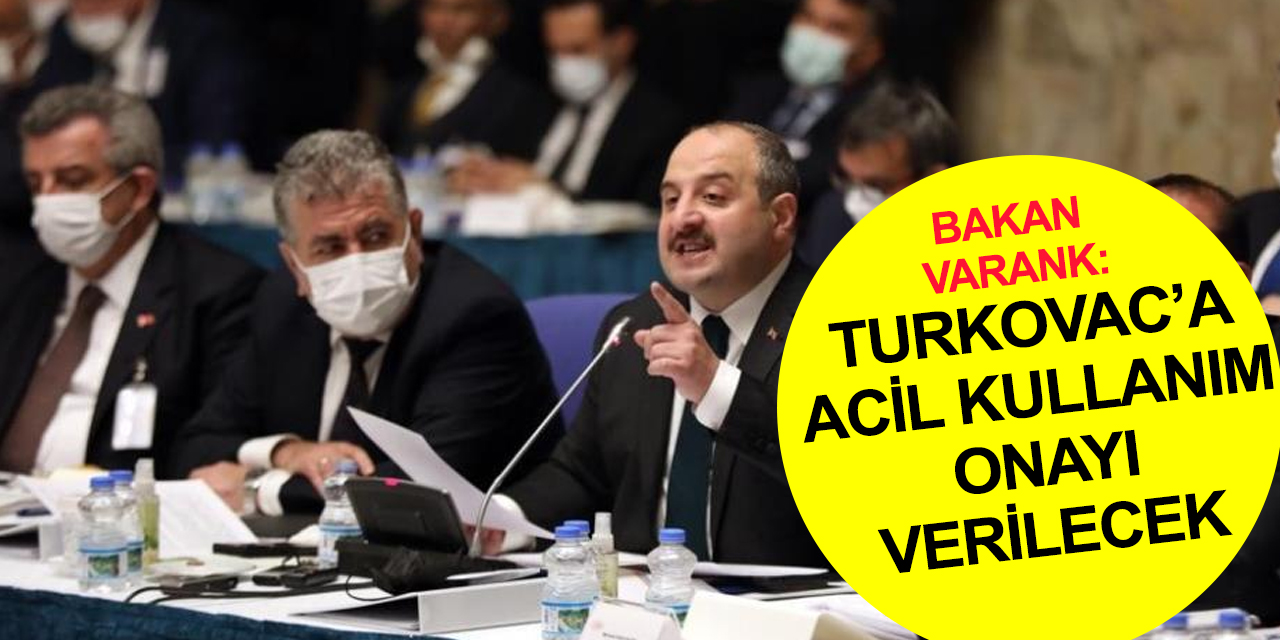 Bakan Varank: Bakanlık sene sonu gelmeden Turkovac'a acil kullanım onayı verecek
