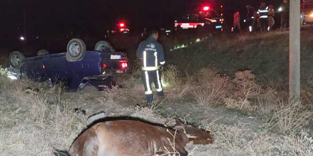 Van'da korkunç kaza! Ata çarpan otomobil takla attı! 1 ölü 6 yaralı