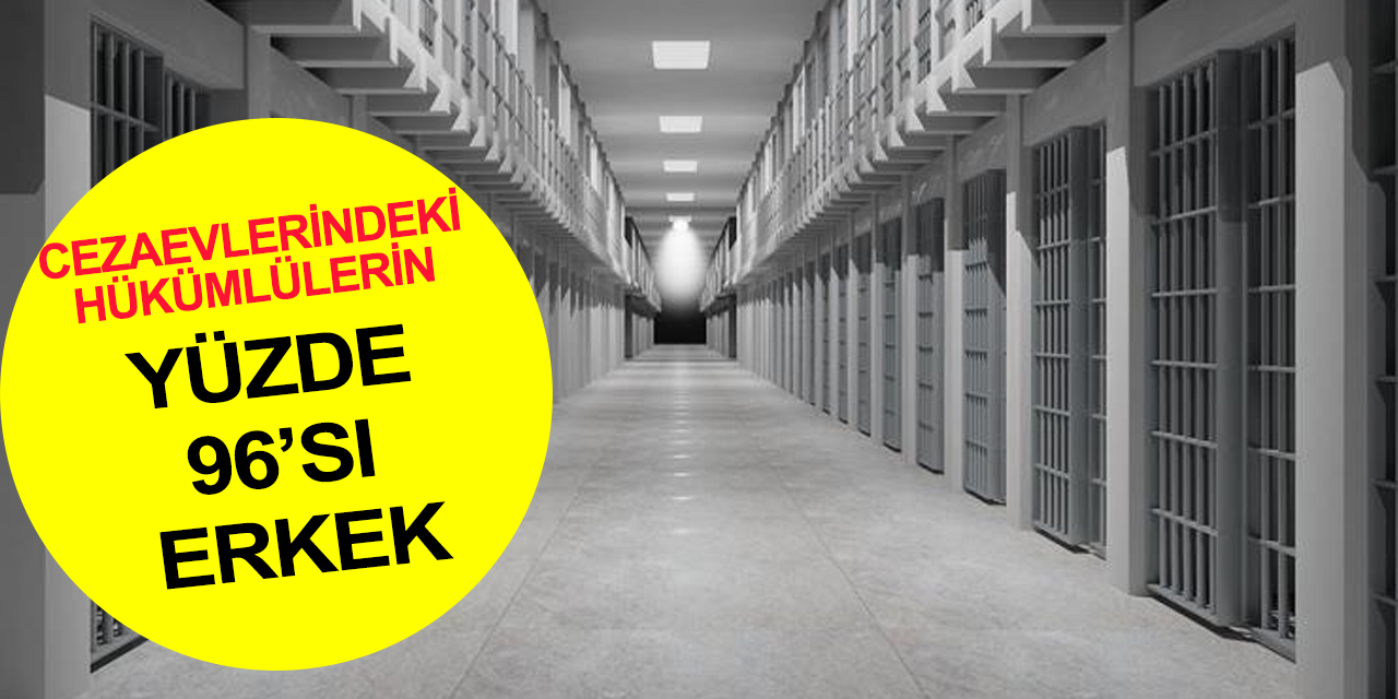 En çok yaralama ve hırsızlık suçu işlendi! Kadın cinayetleri haber oldu