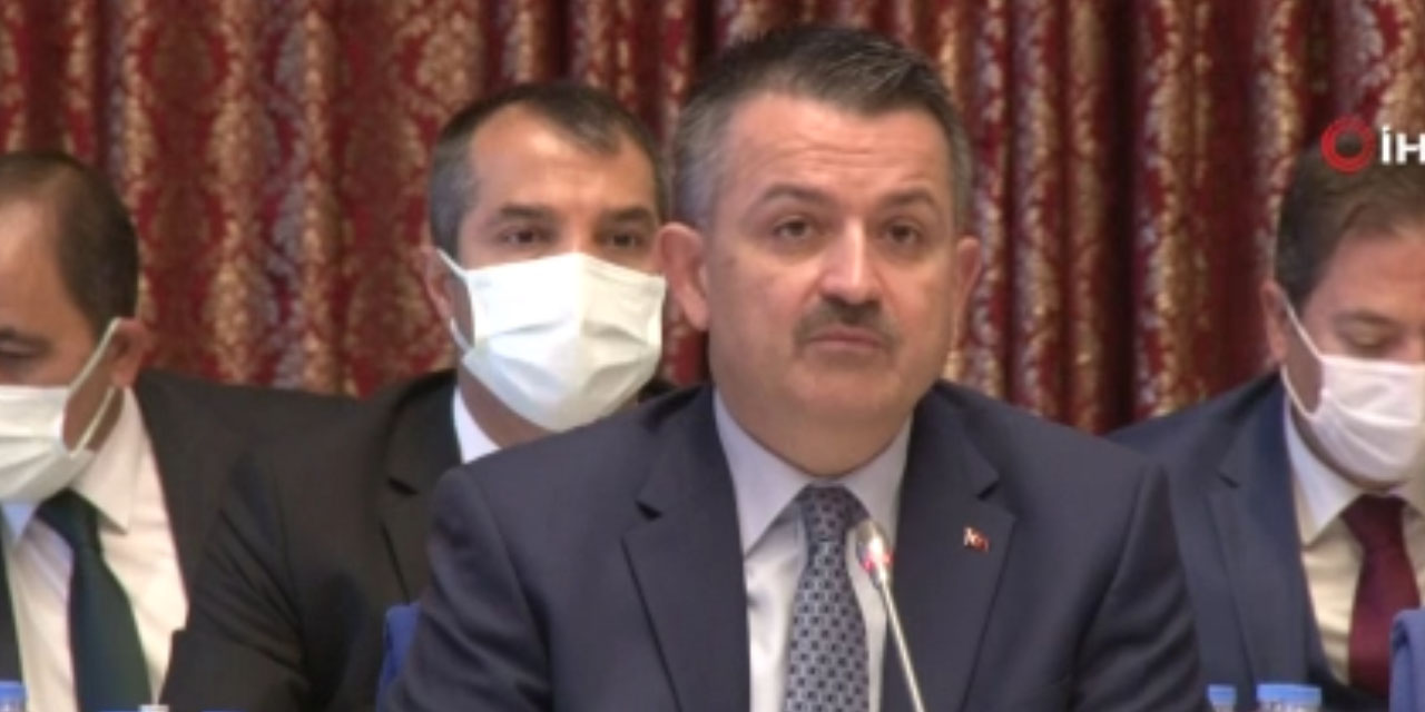 Bakan Pakdemirli: Biz Türk Hava Kurumu'na düşman değiliz