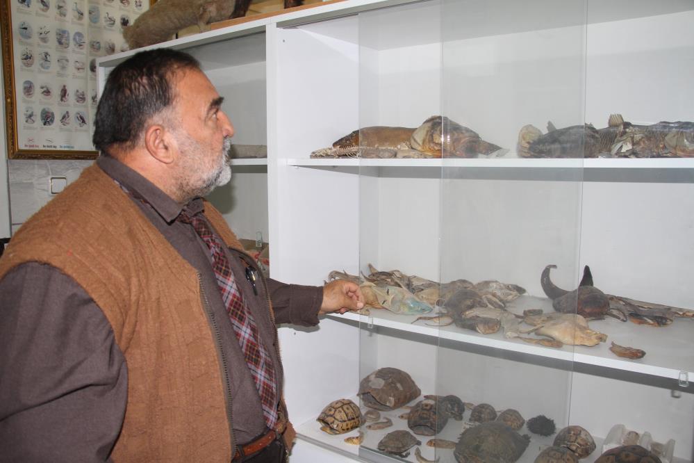 Tunceli'ye piyango vurabilir! Sibirya Mersin balığı iştah kabarttı