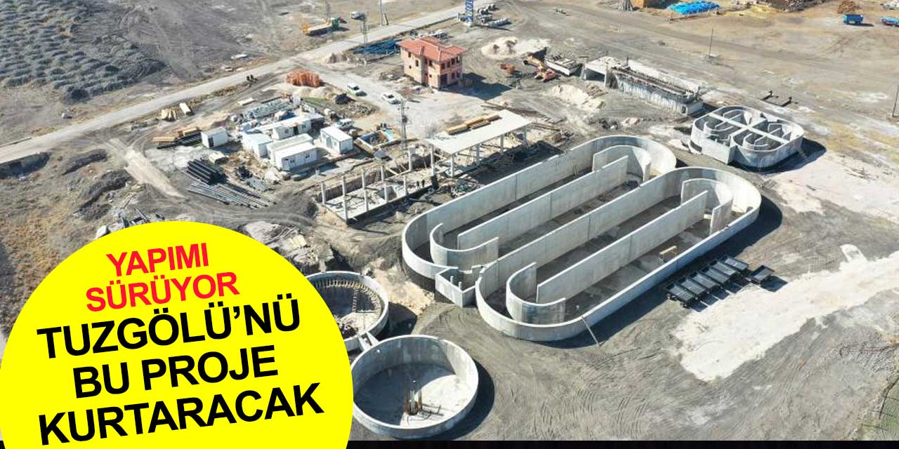 Konya'nın flamingolarını bu proje kurtaracak