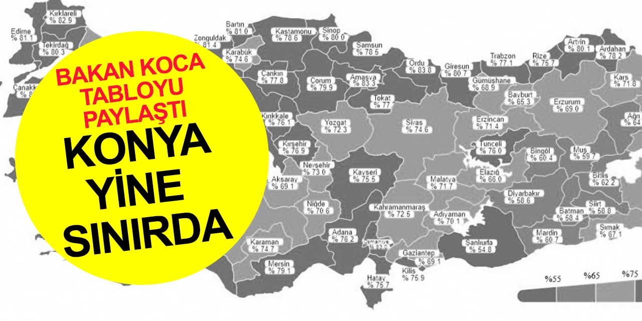 Konya yine sınırda bekliyor! Türkiye'de son vaka durumunu Bakan Koca paylaştı
