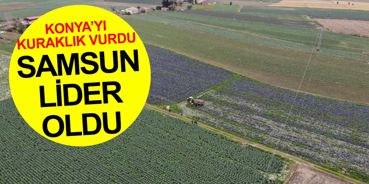 Konya dikim yapamadı liderlik Samsun'un oldu