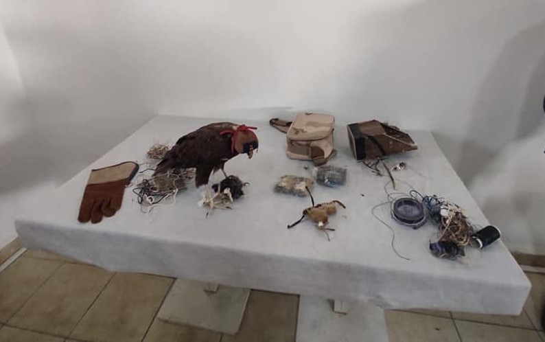 Bu hayvanı da suçlarına alet ettiler Konya'da yakayı ele verdiler