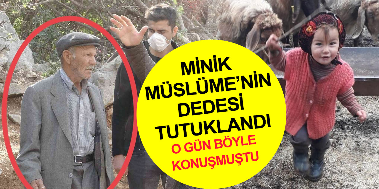 Müslüme'nin dedesi tutuklandı! Arama çalışmasında böyle konuşmuştu
