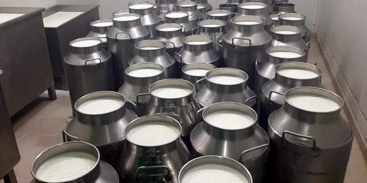 Üreticinin beklediği açıklama geldi! Çiğ süt fiyatı 4.70 TL + 20 kuruş destek olarak belirlendi