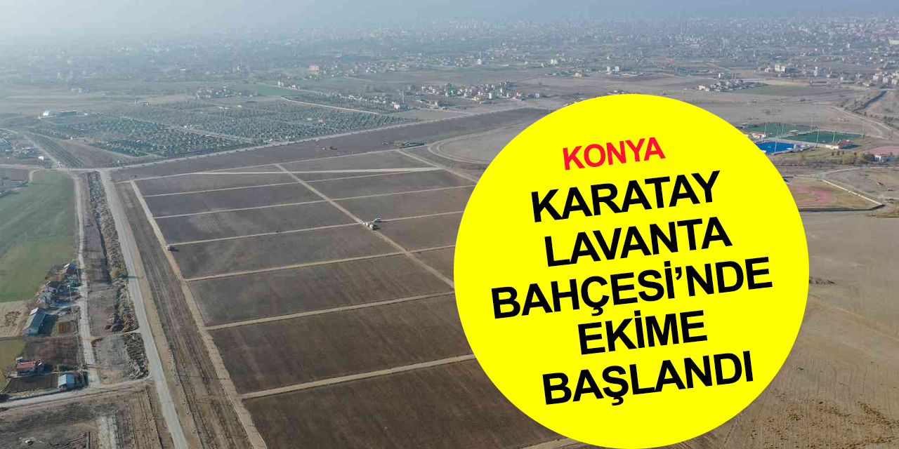 Karatay Lavanta Bahçesi 250 bin metrekare daha büyüyor! Ekim çalışmaları başladı