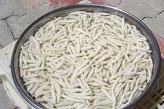 Diş ağrısını bitiren sakız