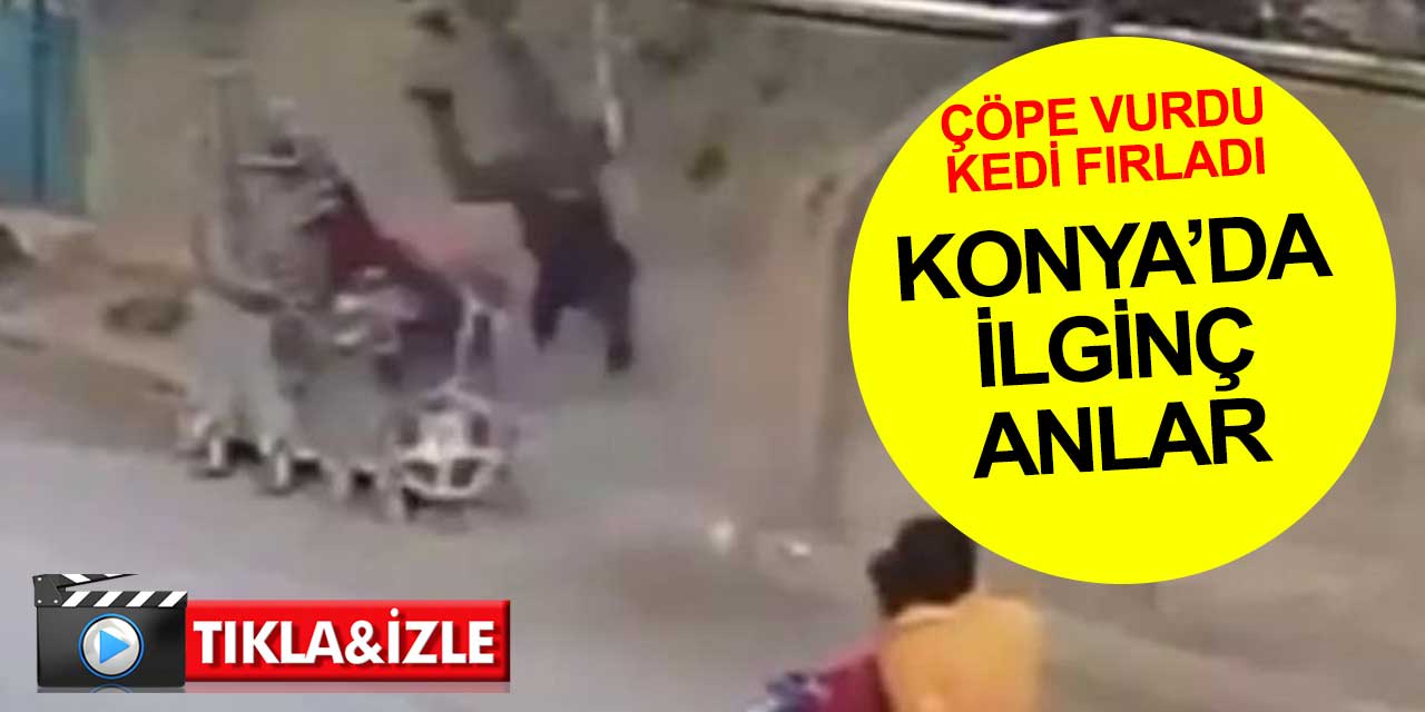 Konya'da ilginç anlar: Çöpe vurdu kedi fırladı