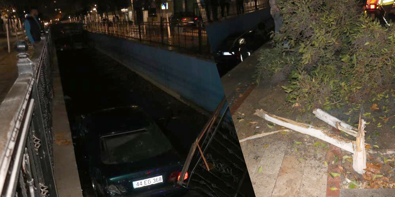 Kontrolden çıkan araç ağacı devirip kanala uçtu