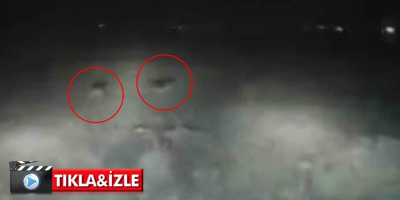 Konya'da kurtlar yerleşim yerlerine çok yaklaştı