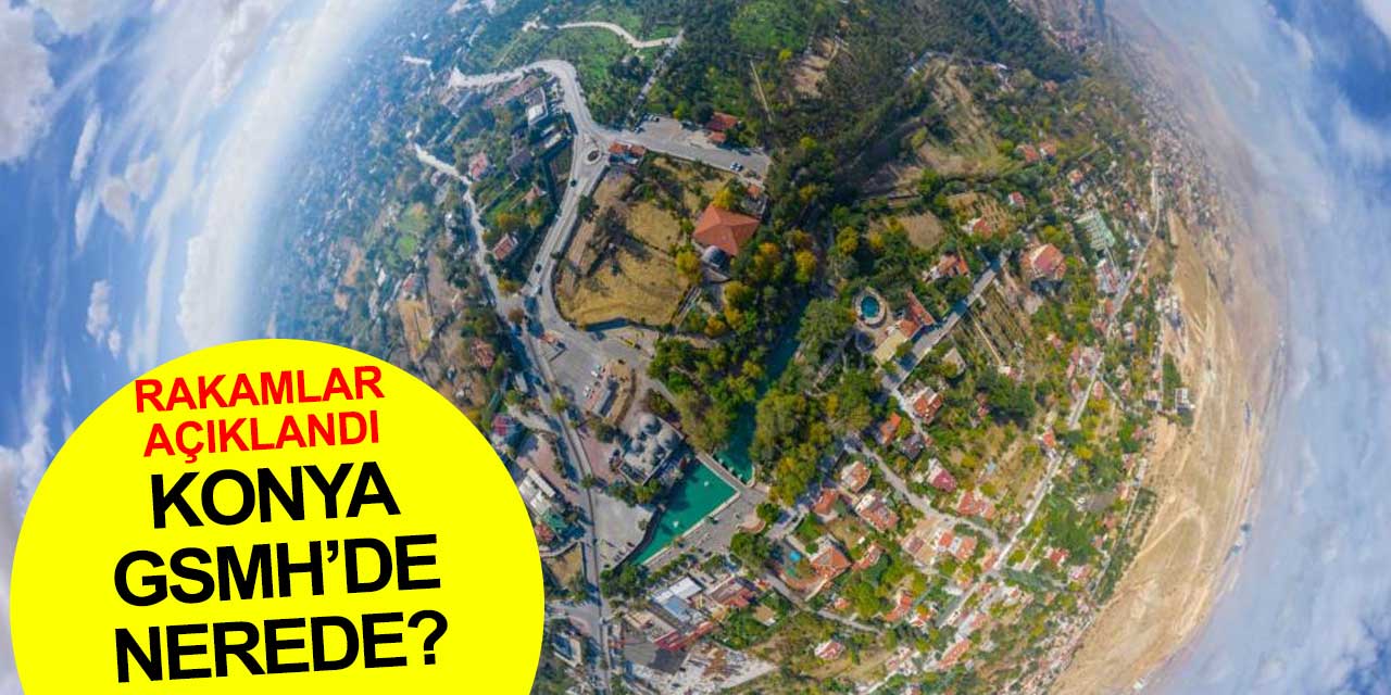 Konya Gayrisafi Milli Hasıla'nın ne kadarını hangi payla aldı?