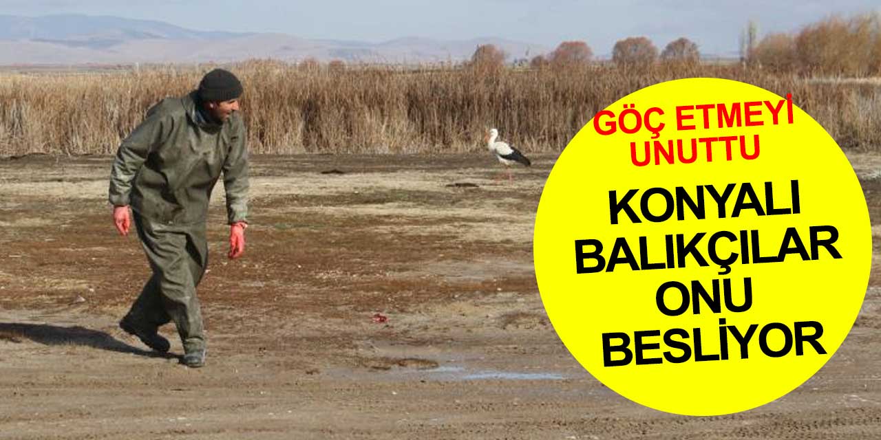 Konyalı balıkçılar göç etmeyi unutan leyleği elleriyle besliyor