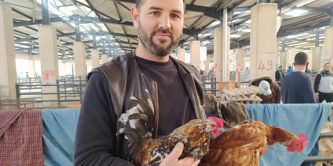 Köy tavuğu daha ucuz