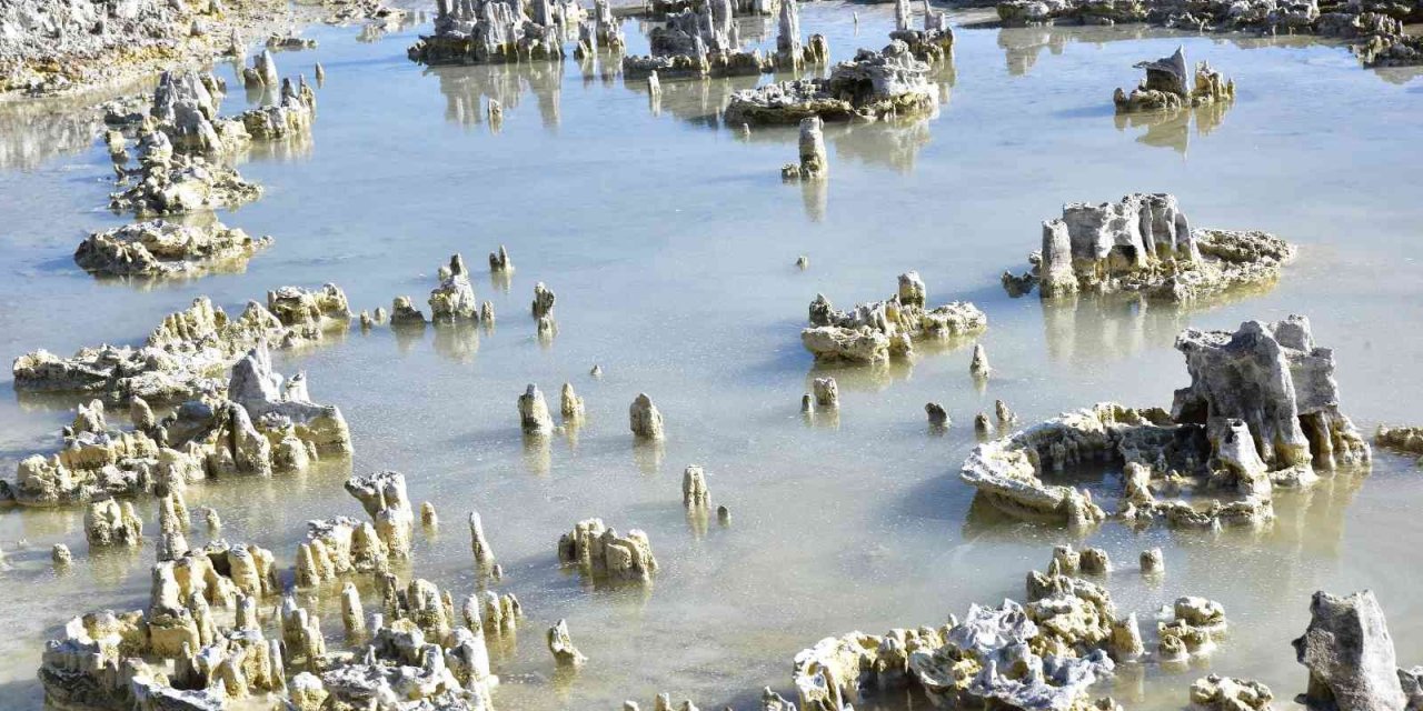 Van Gölü’nde yeni görüntü