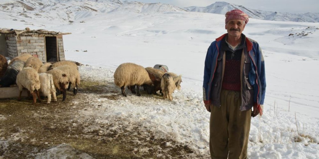 Eksi 30 derecede tek başına yaşıyor