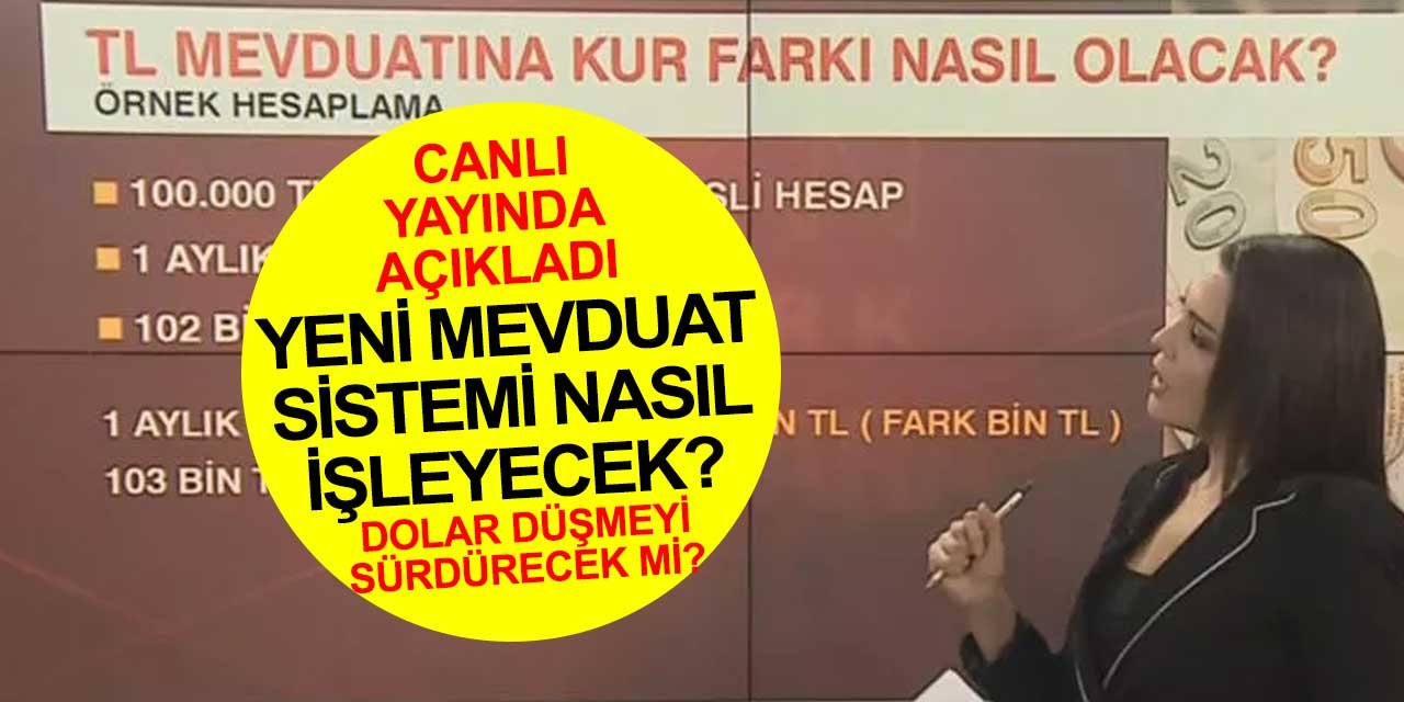 Yeni ekonomik model ve yeni mevduat düzenlemesi nasıl olacak?