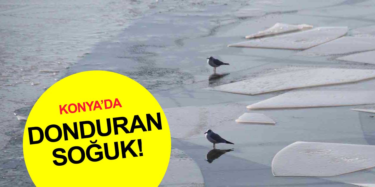 Konya'da hava buz kesti! Kıyılar kısmen dondu