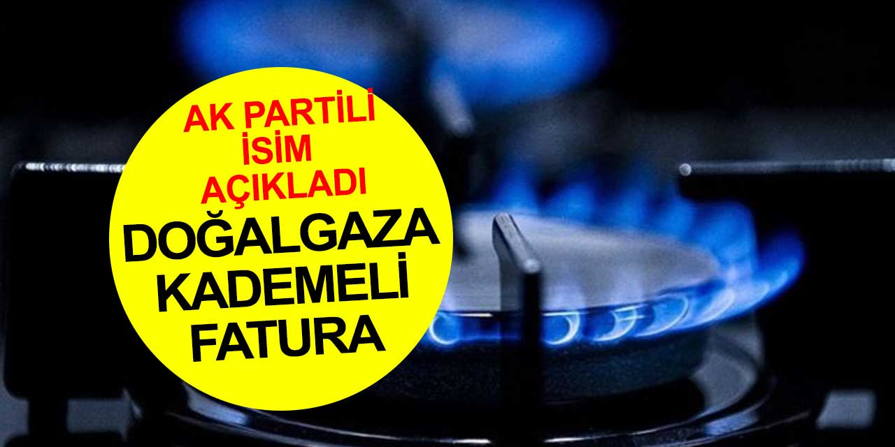 Doğalgaza kademeli tarife geliyor: Villada oturanlara kötü haber