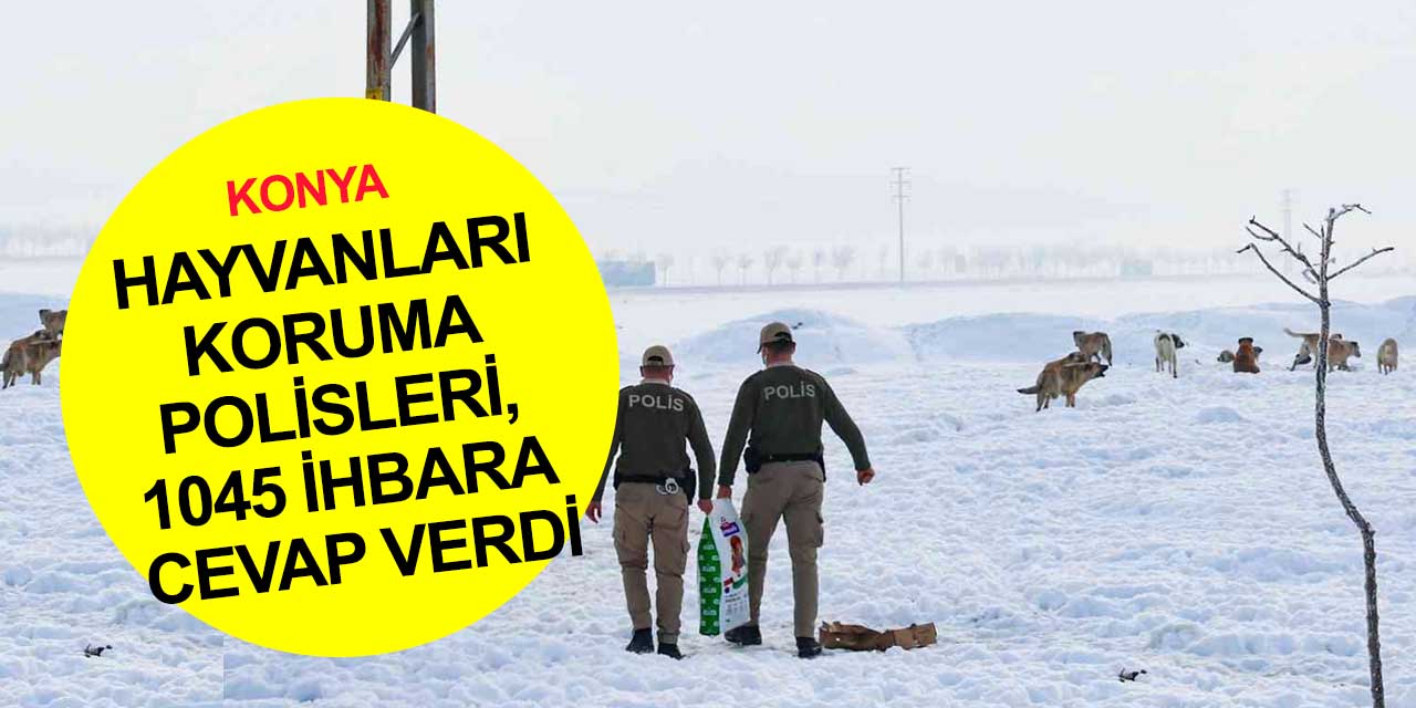 Konya'da hayvan haklarını ihlal eden 49 kişiye 417 bin 545 lira para cezası